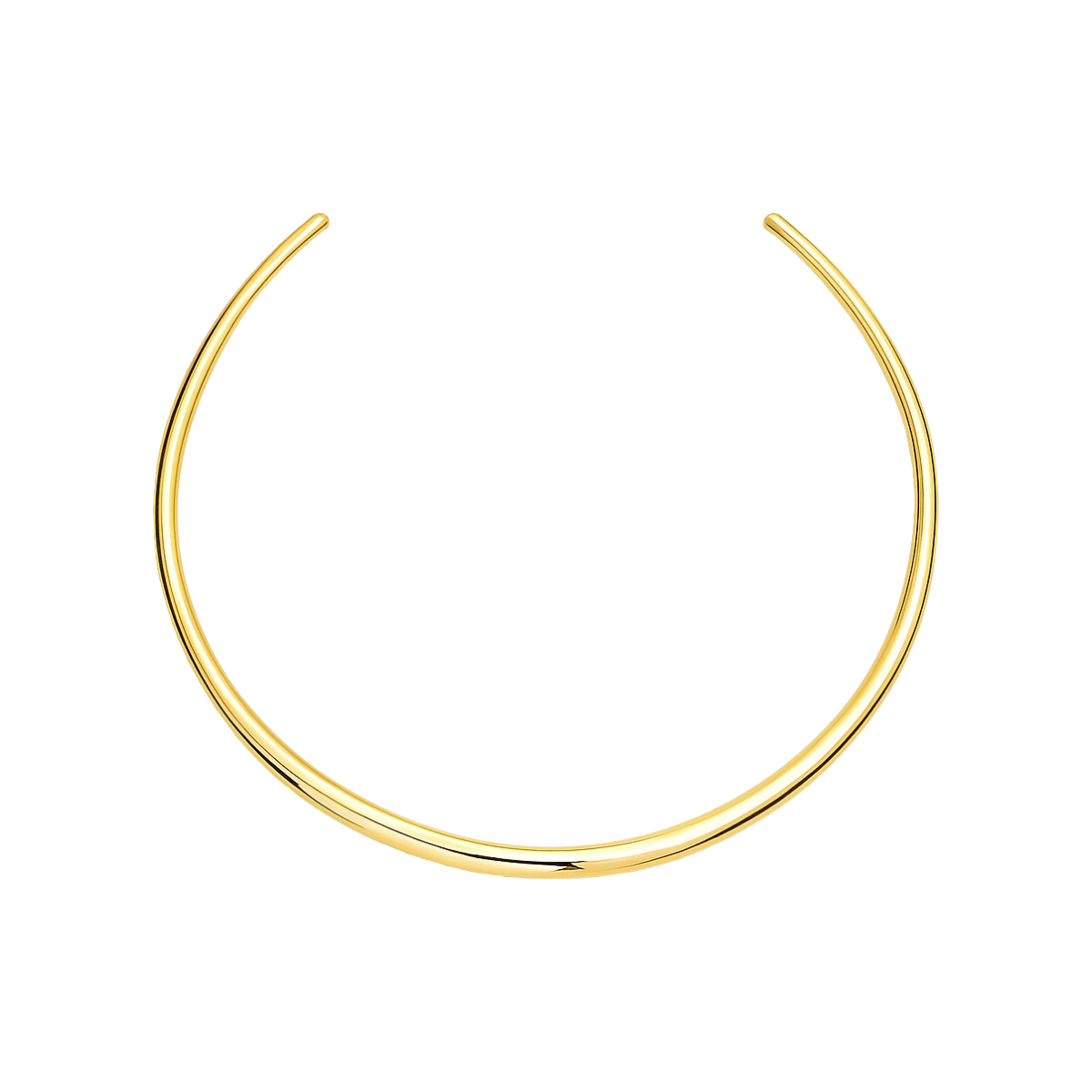 Gold Choker Necklace